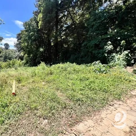 Terreno Residencial en Venta San Lucas Sacatepéquez — Terreno en Venta en San Lucas Sacatepéquez, Sacatepéquez — foto 3 de 6