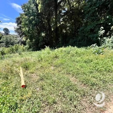 Terreno Residencial en Venta San Lucas Sacatepéquez — Terreno en Venta en San Lucas Sacatepéquez, Sacatepéquez — foto 4 de 6
