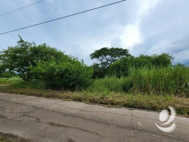 Terreno de 14 x 50 metros en Venta Quintas Malibu — Terreno en Venta en Masagua, Escuintla — foto 1 de 9