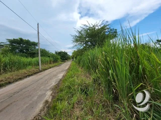 Terreno de 14 x 50 metros en Venta Quintas Malibu — Terreno en Venta en Masagua, Escuintla — foto 2 de 9