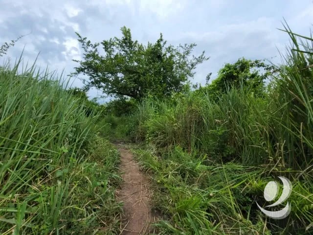 Terreno de 14 x 50 metros en Venta Quintas Malibu — Terreno en Venta en Masagua, Escuintla — foto 3 de 9