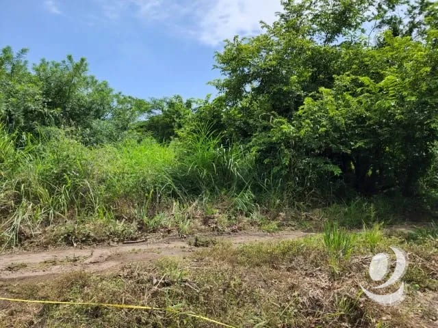 Terreno de 14 x 50 metros en Venta Quintas Malibu — Terreno en Venta en Masagua, Escuintla — foto 4 de 9