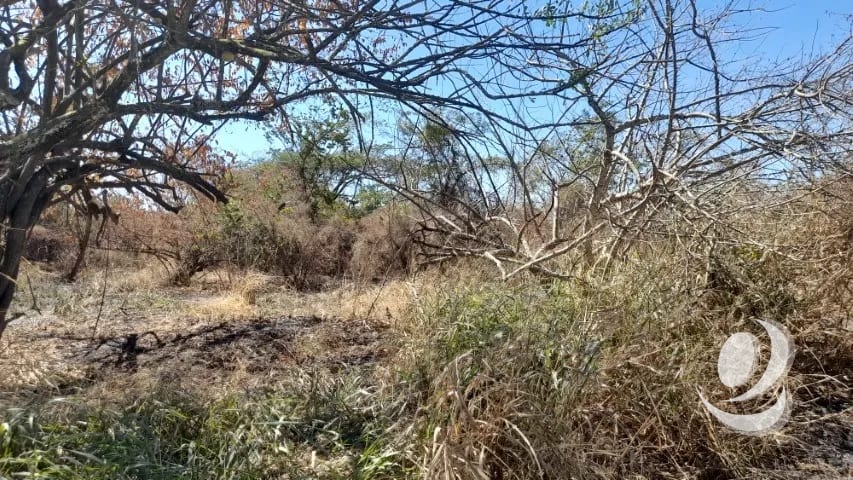 Terreno de 14 x 50 metros en Venta Quintas Malibu — Terreno en Venta en Masagua, Escuintla — foto 5 de 9