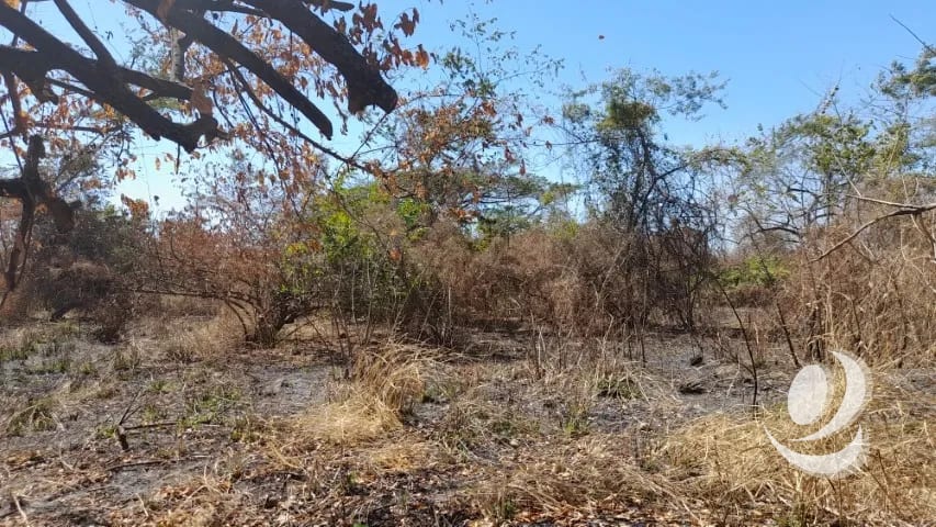 Terreno de 14 x 50 metros en Venta Quintas Malibu — Terreno en Venta en Masagua, Escuintla — foto 6 de 9