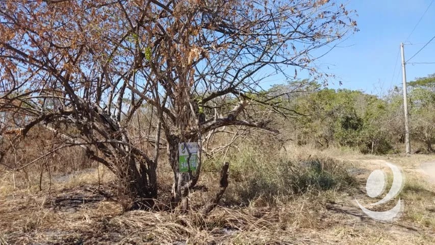Terreno de 14 x 50 metros en Venta Quintas Malibu — Terreno en Venta en Masagua, Escuintla — foto 8 de 9