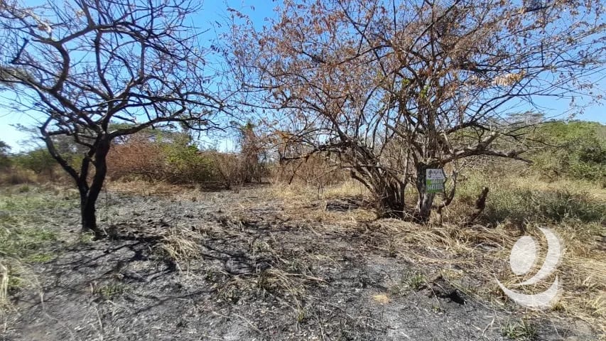 Terreno de 14 x 50 metros en Venta Quintas Malibu — Terreno en Venta en Masagua, Escuintla — foto 9 de 9