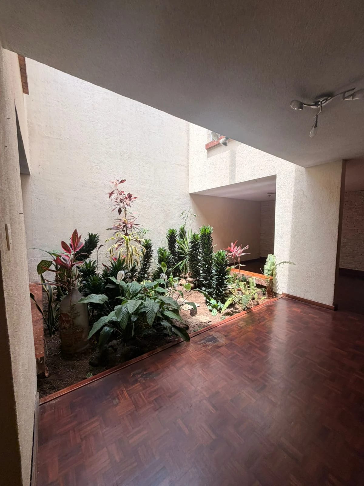 casa en Alquiler zona 10 — Casa en Alquiler en Zona 10, Guatemala, Ciudad — foto 1 de 11