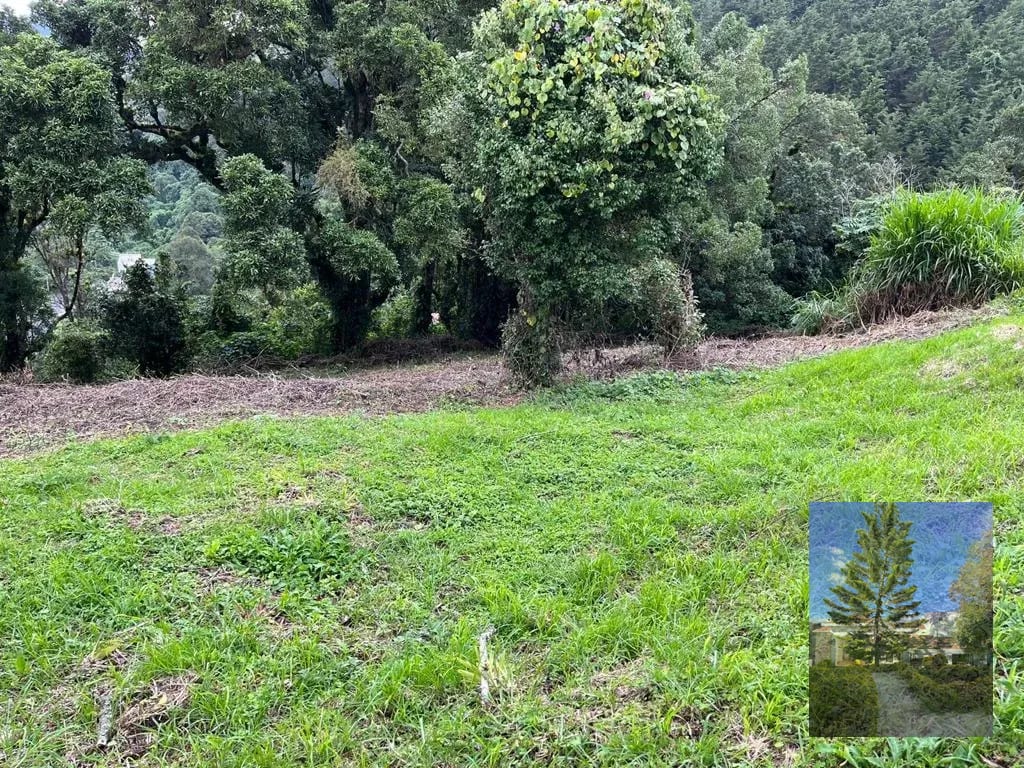 Remato Terreno en Terravista KM 16.5 Entrada a Olmeca — Terreno en Venta en Carretera a El Salvador, Guatemala, Ciudad — foto 2 de 3