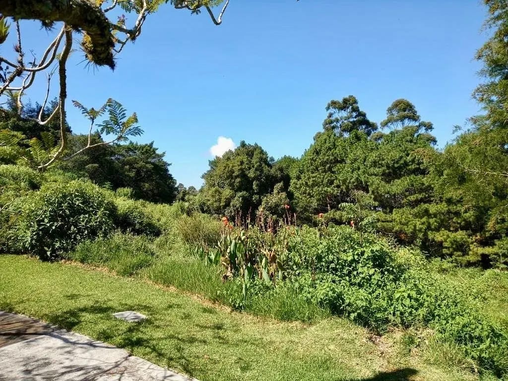 Terreno Exclusivo de 5000Vrs2 Condominio Las Alturas CAES — Terreno en Venta en Las Alturas, Carretera a El Salvador, Guatemala, Ciudad — foto 3 de 5