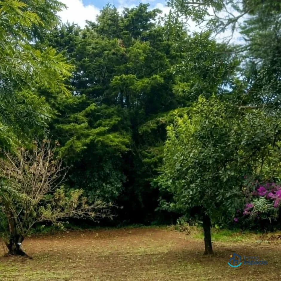 đż TERRENO EN VENTA â SANTA LUCĂA MILPAS ALTAS, SACATEPĂQUEZ â Terreno en Venta en Santa LucĂa Milpas Altas, SacatepĂ©quez â foto 16 de 17
