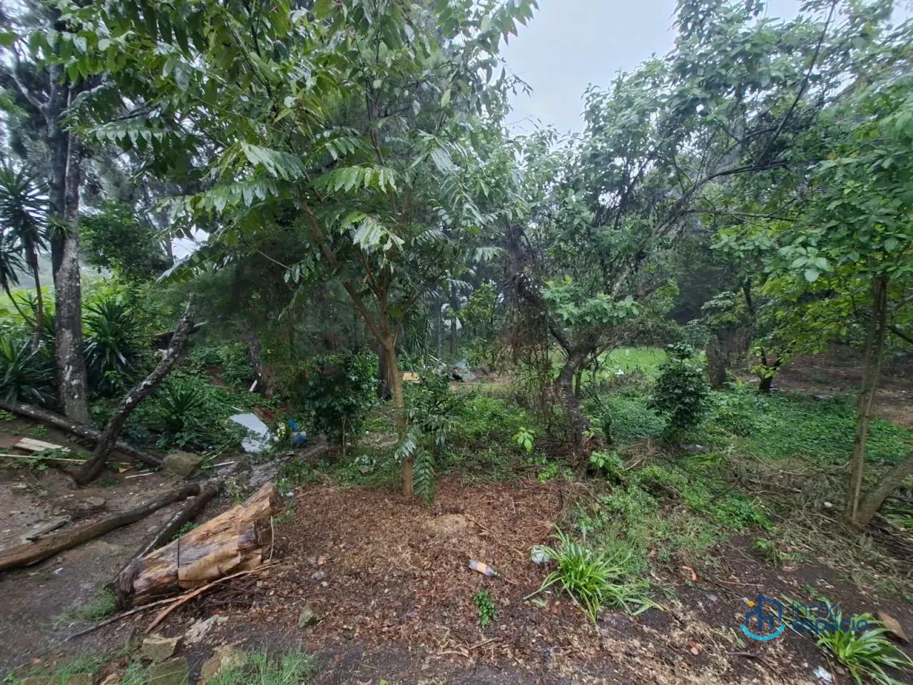 Terreno en venta/renta en Fraijanes — Terreno en Venta en Fraijanes, Carretera a El Salvador, Guatemala, Ciudad — foto 5 de 13