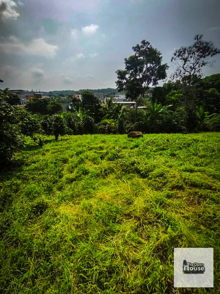 Terreno en Venta – Altos de San Francisco Suchitepéquez Mazatenango — Terreno en Venta en Mazatenango, Suchitepéquez — foto 8 de 9