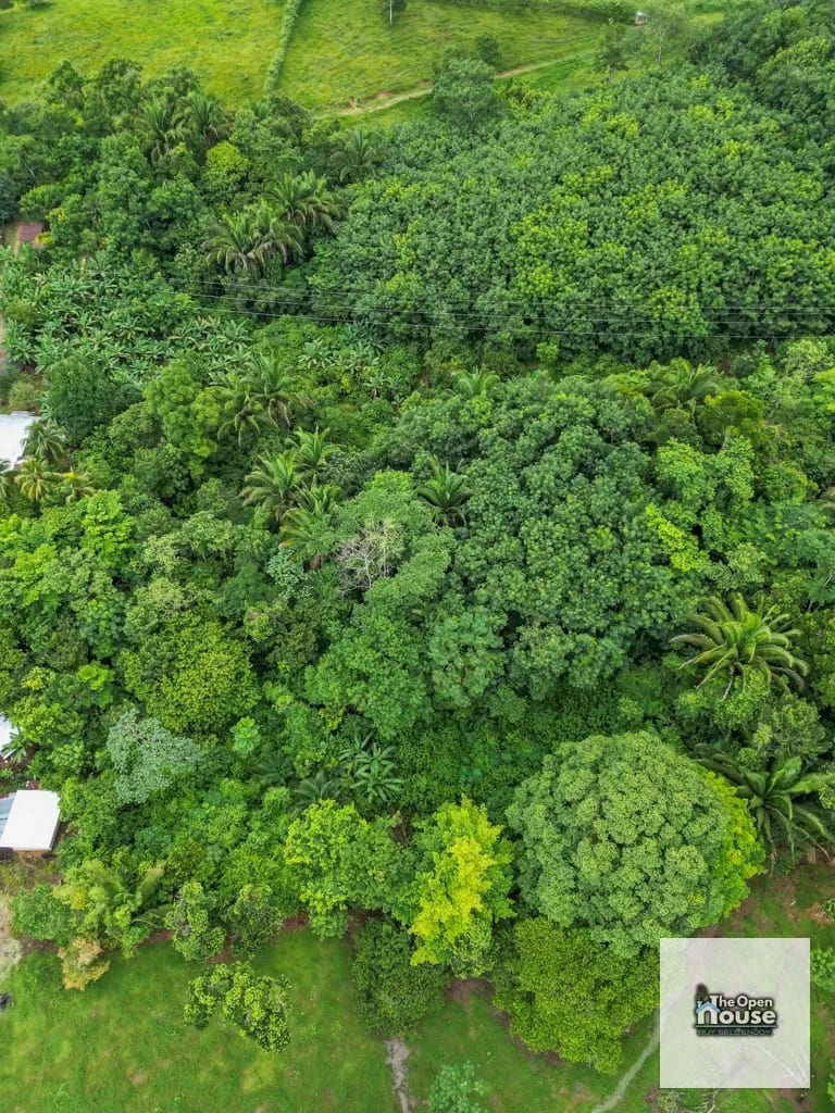 Aldea La Pimienta, Morales, Izabal — Terreno en Venta en Morales, Izabal — foto 4 de 16