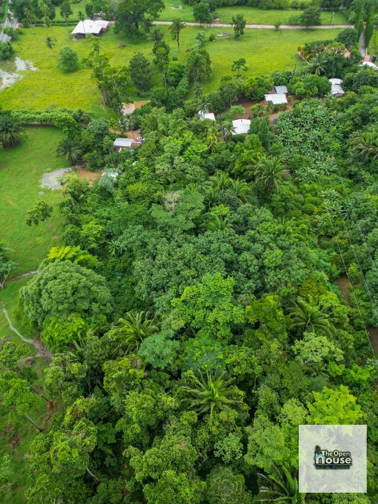 Aldea La Pimienta, Morales, Izabal — Terreno en Venta en Morales, Izabal — foto 6 de 16