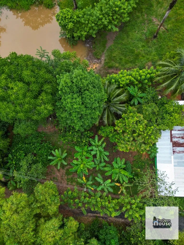 Aldea La Pimienta, Morales, Izabal — Terreno en Venta en Morales, Izabal — foto 11 de 16