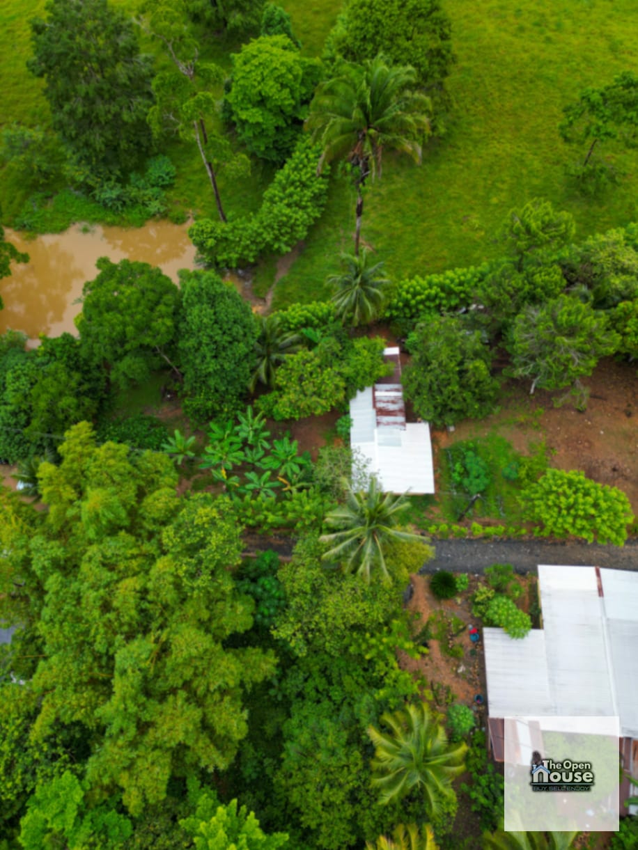 Aldea La Pimienta, Morales, Izabal — Terreno en Venta en Morales, Izabal — foto 2 de 17
