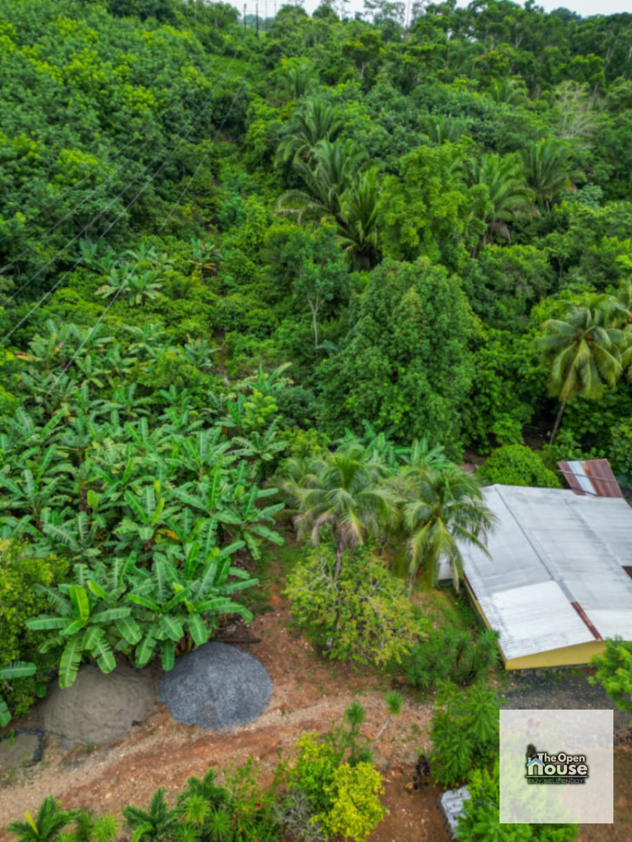 Aldea La Pimienta, Morales, Izabal — Terreno en Venta en Morales, Izabal — foto 15 de 17