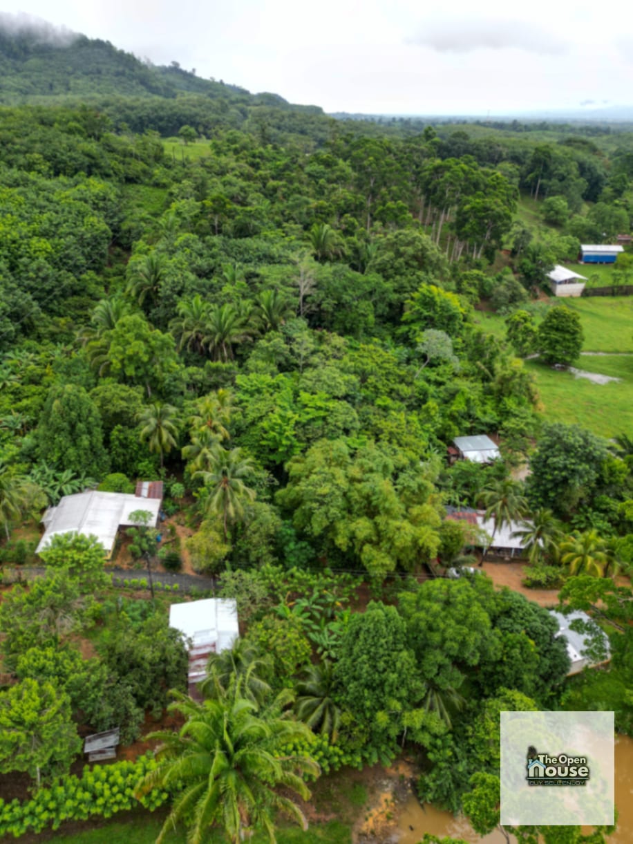 Aldea La Pimienta, Morales, Izabal — Terreno en Venta en Morales, Izabal — foto 16 de 17
