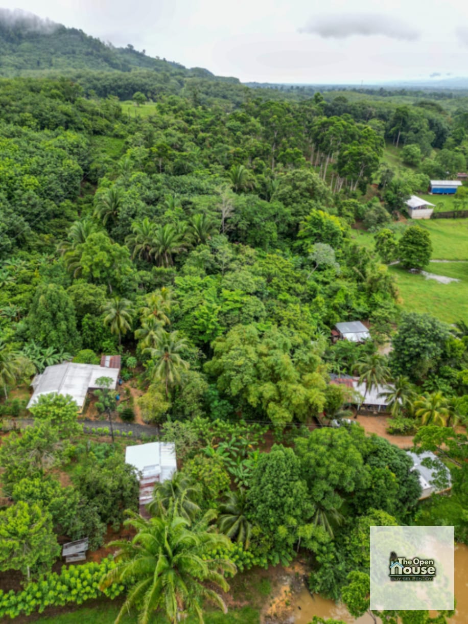 Aldea La Pimienta, Morales, Izabal — Terreno en Venta en Morales, Izabal — foto 17 de 17