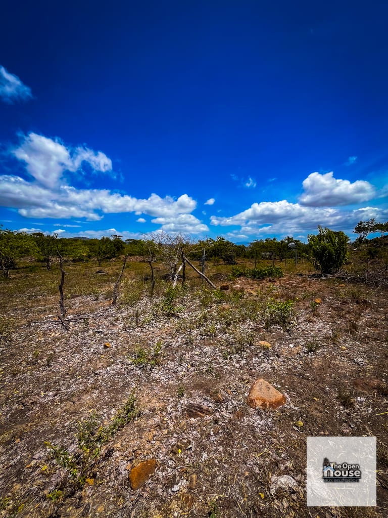 Aldea El Pinalito, San Pedro Pinula, Jalapa — Terreno en Venta en San Pedro Pinula, Jalapa — foto 4 de 17