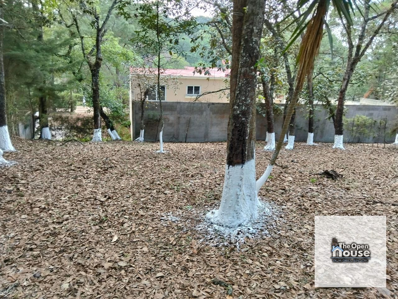 Venta de Lotes en Residenciales Villas Innsbruck, Sacatepequez — Terreno en Venta en Sumpango, Sacatepéquez — foto 6 de 17