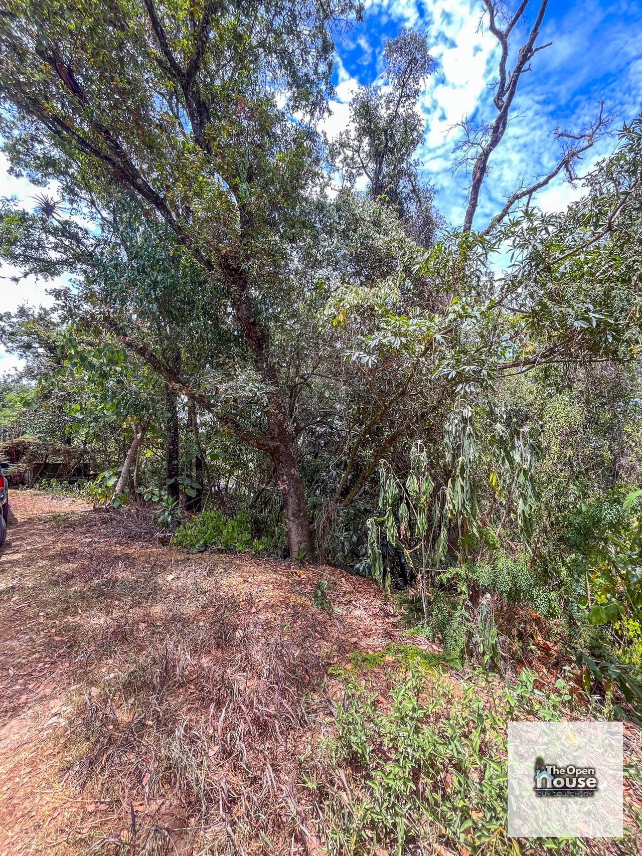 Terrenos en Venta en el Encinal — Terreno en Venta en El Encinal, Zona 7 Mixco, Guatemala, Ciudad — foto 8 de 17