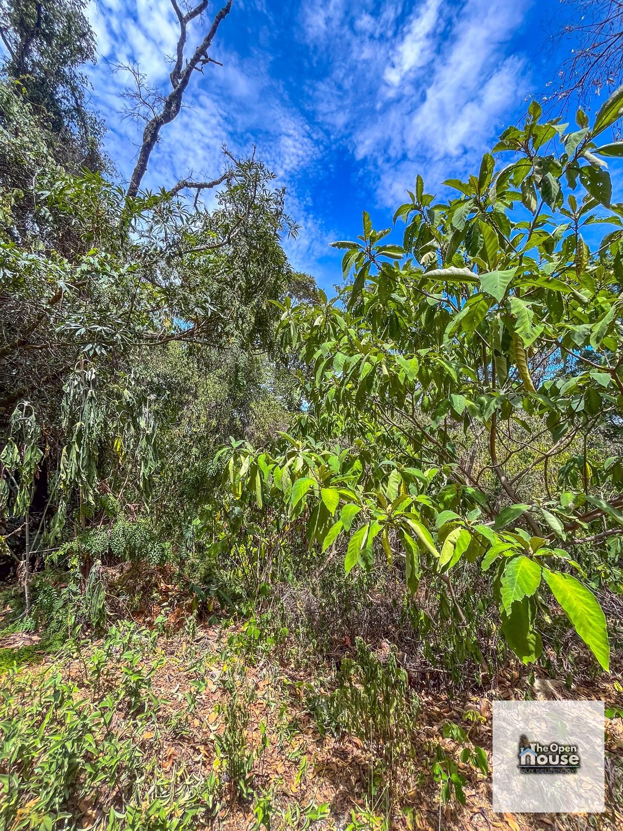 Terrenos en Venta en el Encinal — Terreno en Venta en El Encinal, Zona 7 Mixco, Guatemala, Ciudad — foto 9 de 17