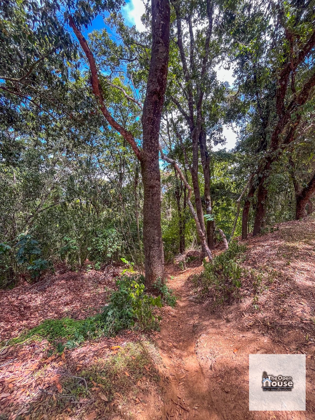 Terrenos en Venta en el Encinal — Terreno en Venta en El Encinal, Zona 7 Mixco, Guatemala, Ciudad — foto 11 de 17