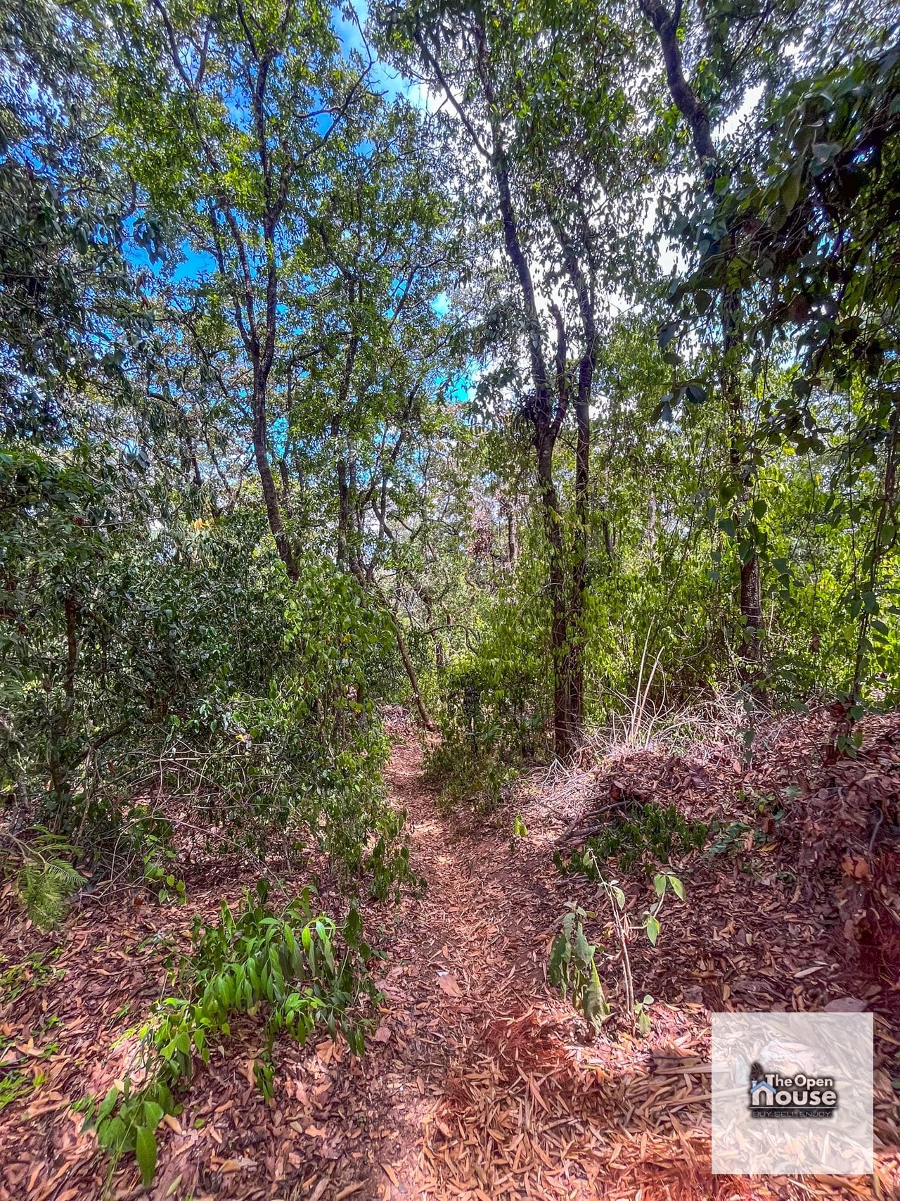 Terrenos en Venta en el Encinal — Terreno en Venta en El Encinal, Zona 7 Mixco, Guatemala, Ciudad — foto 12 de 17