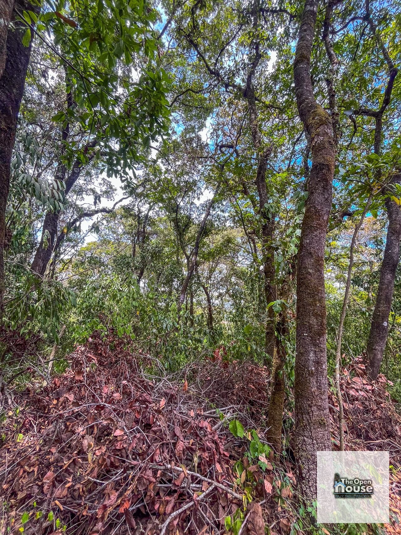 Terrenos en Venta en el Encinal — Terreno en Venta en El Encinal, Zona 7 Mixco, Guatemala, Ciudad — foto 13 de 17