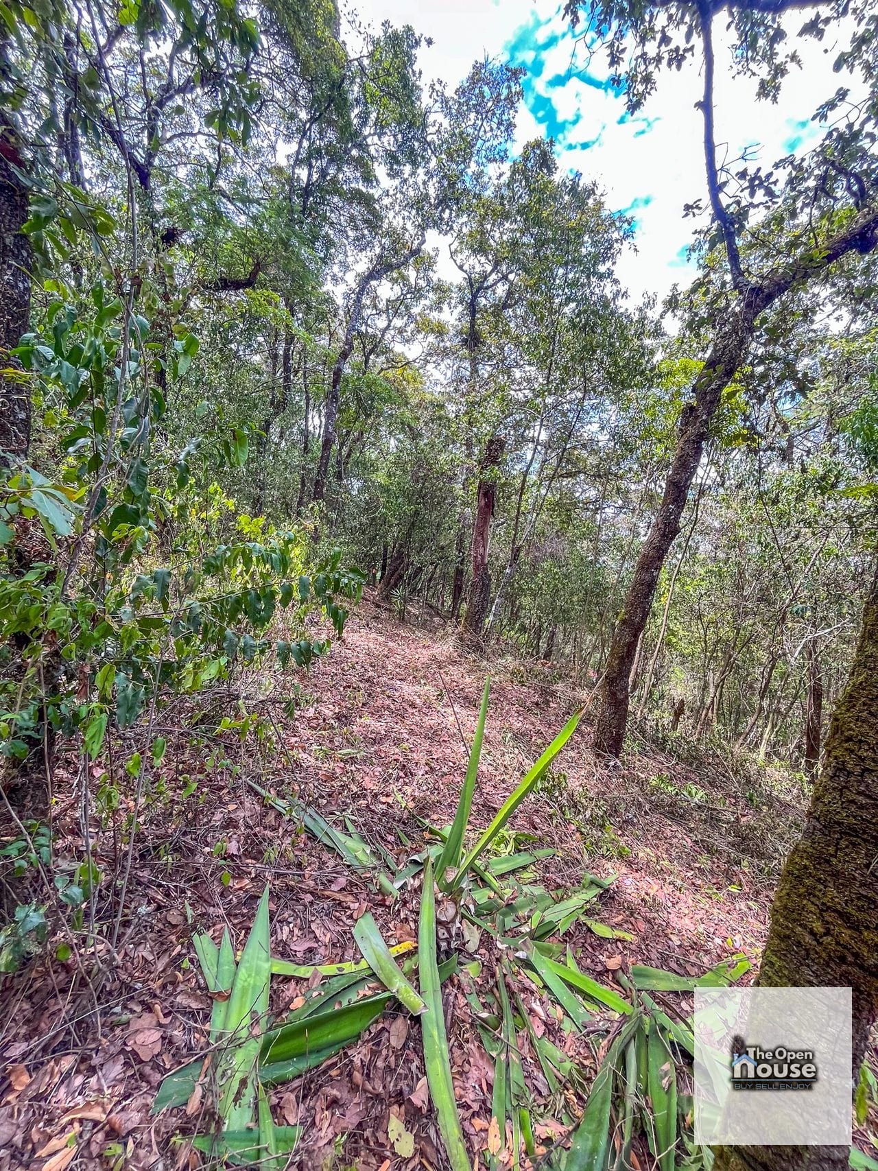 Terrenos en Venta en el Encinal — Terreno en Venta en El Encinal, Zona 7 Mixco, Guatemala, Ciudad — foto 15 de 17