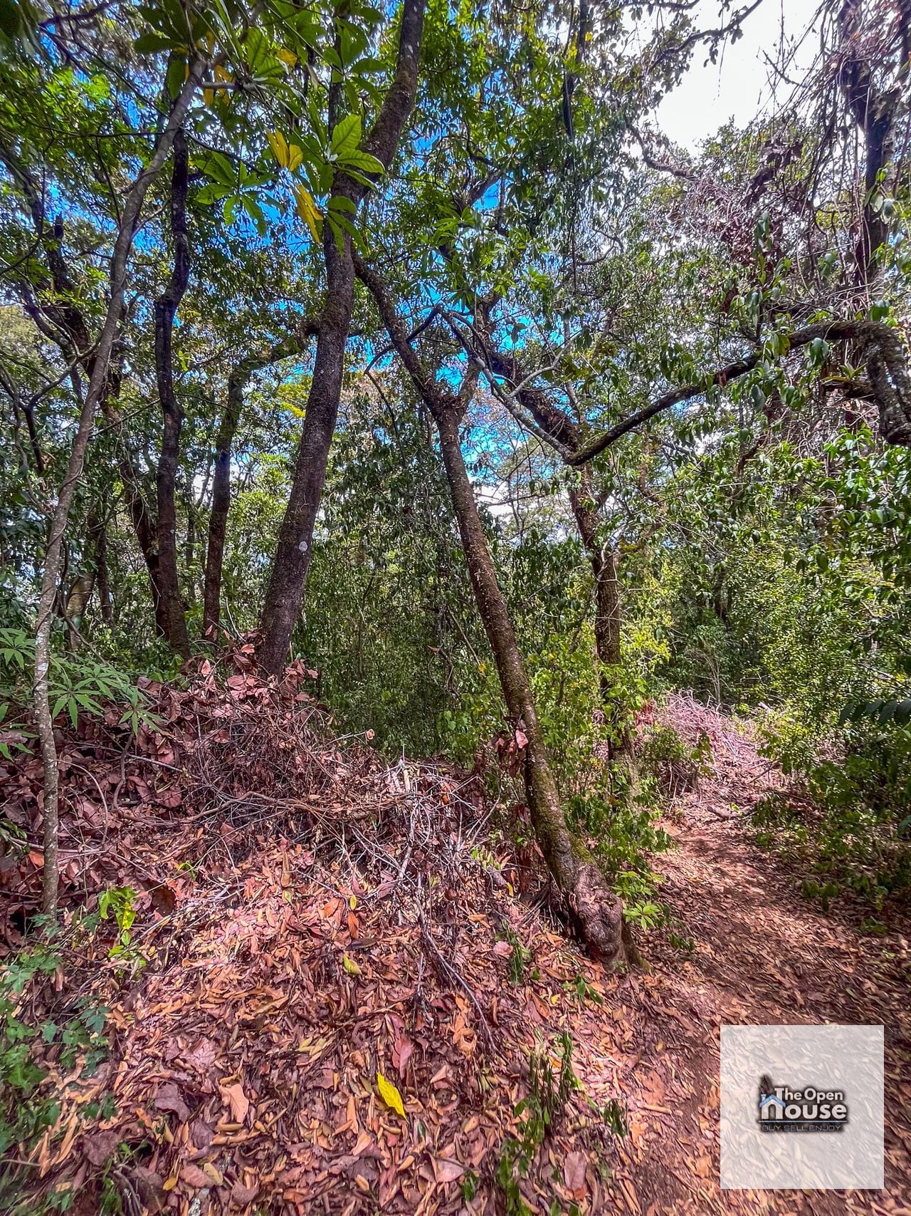 Terrenos en Venta en el Encinal — Terreno en Venta en El Encinal, Zona 7 Mixco, Guatemala, Ciudad — foto 14 de 17