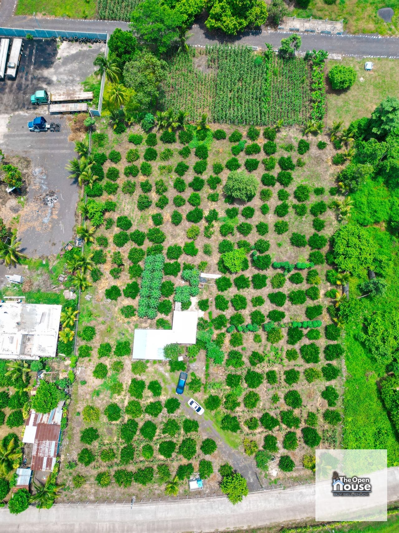 Parcelamiento El Socorro, Santa Lucía Cotzumalguapa — Terreno en Venta en Santa Lucía Cotzumalguapa, Escuintla — foto 5 de 17