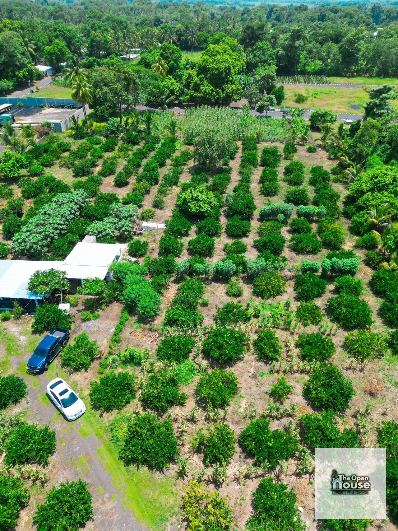 Parcelamiento El Socorro, Santa Lucía Cotzumalguapa — Terreno en Venta en Santa Lucía Cotzumalguapa, Escuintla — foto 6 de 17