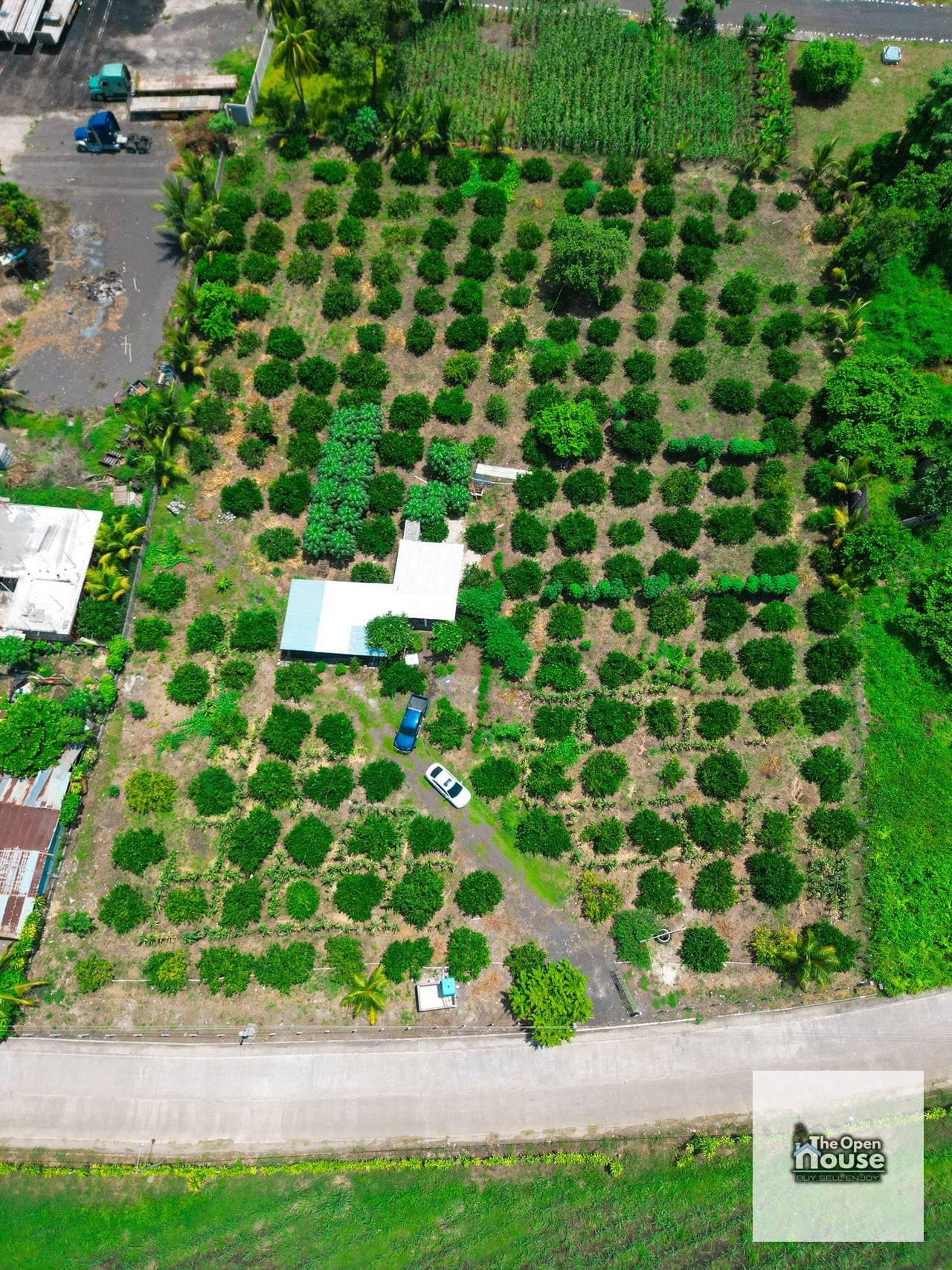 Parcelamiento El Socorro, Santa Lucía Cotzumalguapa — Terreno en Venta en Santa Lucía Cotzumalguapa, Escuintla — foto 7 de 17