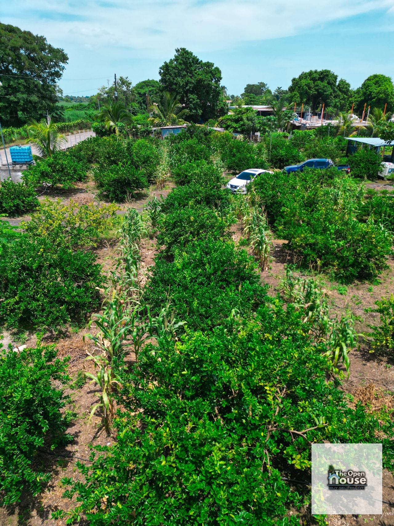 Parcelamiento El Socorro, Santa Lucía Cotzumalguapa — Terreno en Venta en Santa Lucía Cotzumalguapa, Escuintla — foto 10 de 17
