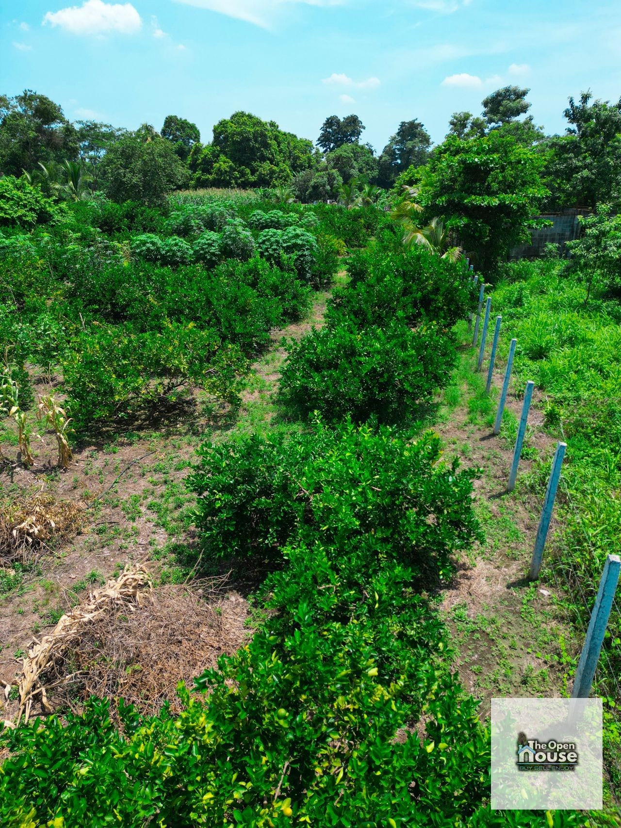 Parcelamiento El Socorro, Santa Lucía Cotzumalguapa — Terreno en Venta en Santa Lucía Cotzumalguapa, Escuintla — foto 11 de 17