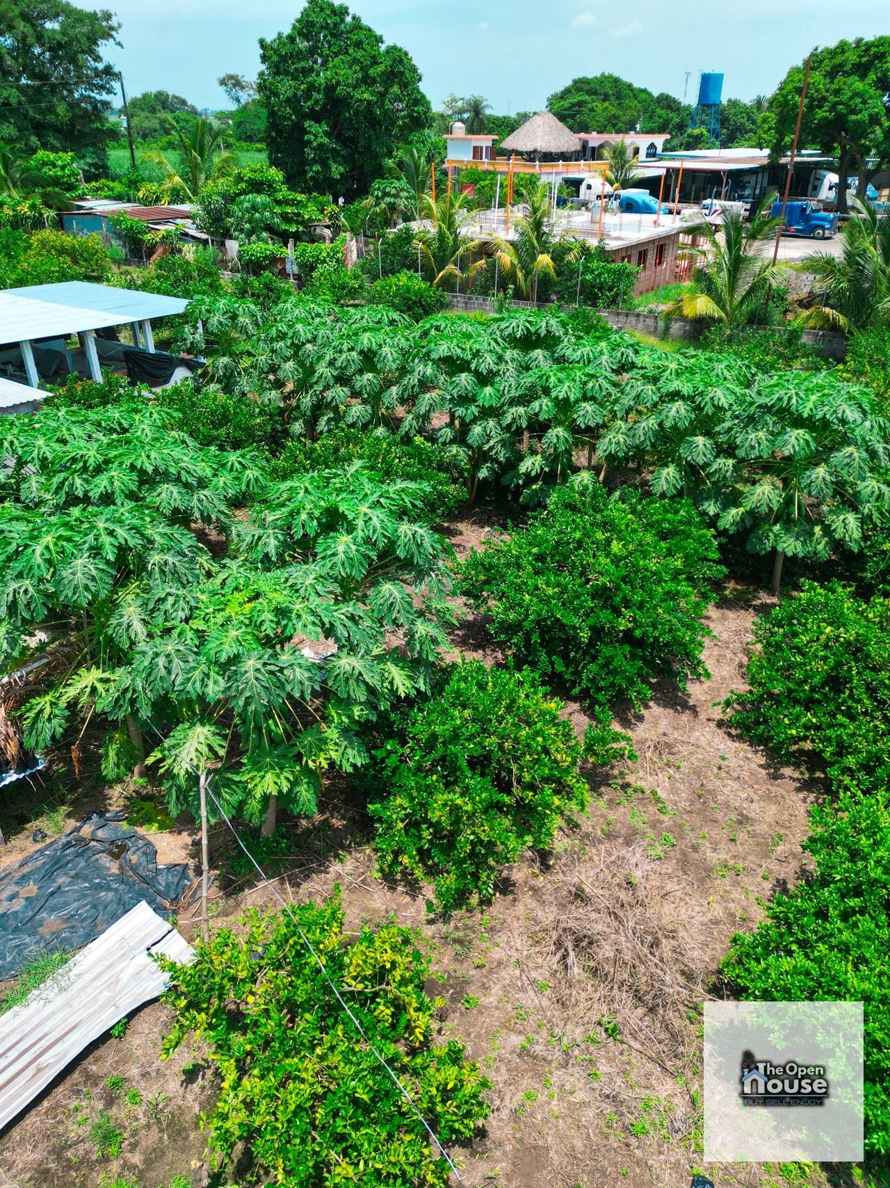 Parcelamiento El Socorro, Santa Lucía Cotzumalguapa — Terreno en Venta en Santa Lucía Cotzumalguapa, Escuintla — foto 15 de 17