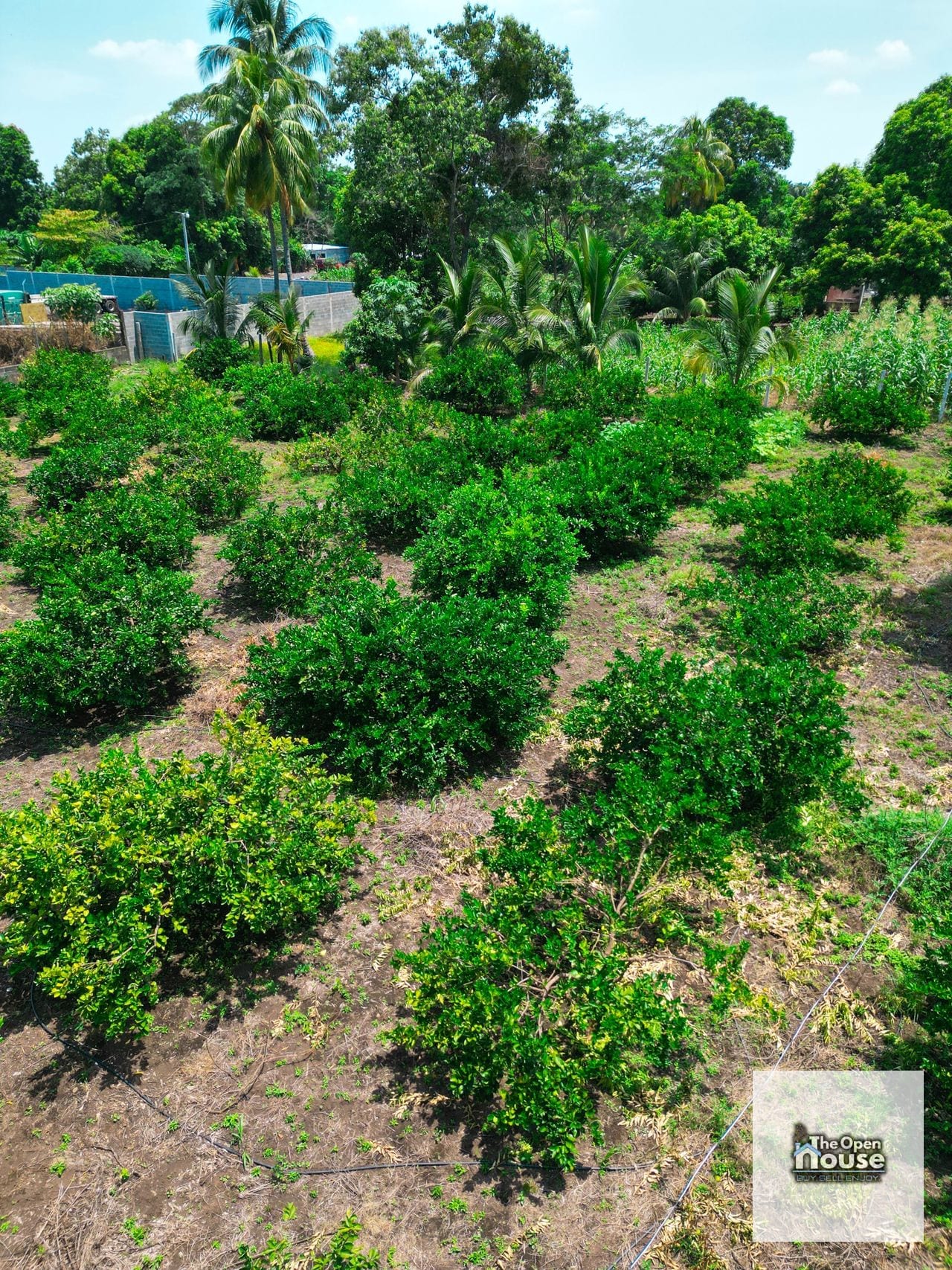 Parcelamiento El Socorro, Santa Lucía Cotzumalguapa — Terreno en Venta en Santa Lucía Cotzumalguapa, Escuintla — foto 16 de 17