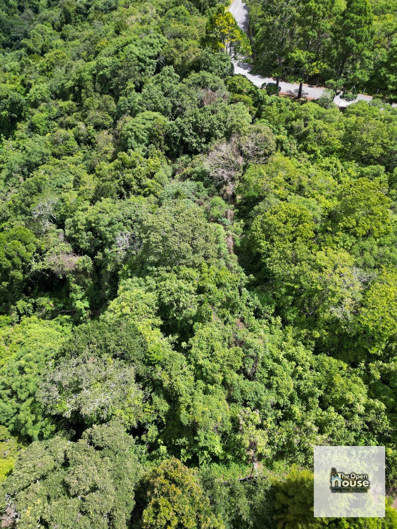 Terreno en Venta – Finca Manzanillo, Fraijanes — Terreno en Venta en Carretera a El Salvador, Guatemala, Ciudad — foto 1 de 17