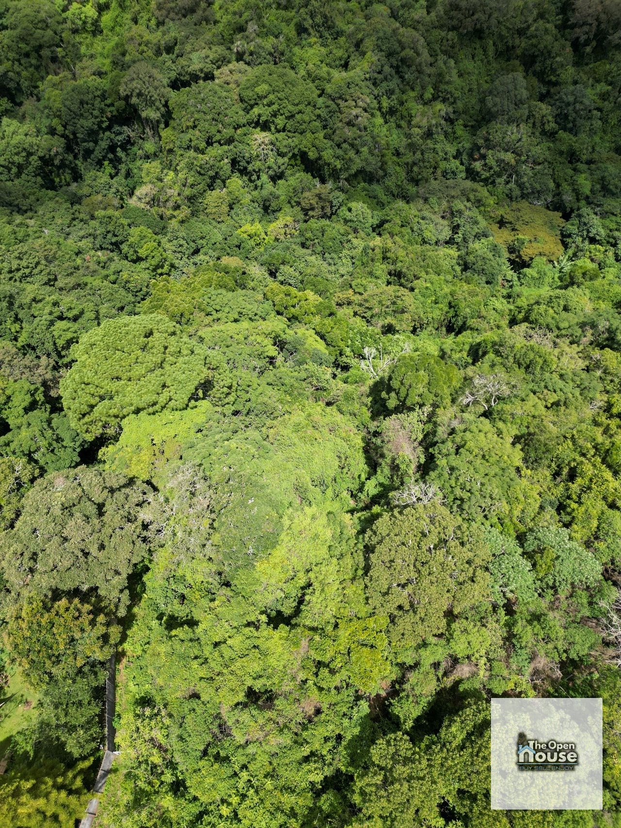 Terreno en Venta – Finca Manzanillo, Fraijanes — Terreno en Venta en Carretera a El Salvador, Guatemala, Ciudad — foto 3 de 17