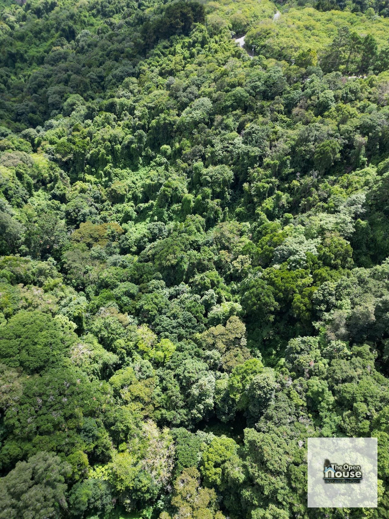 Terreno en Venta – Finca Manzanillo, Fraijanes — Terreno en Venta en Carretera a El Salvador, Guatemala, Ciudad — foto 9 de 17