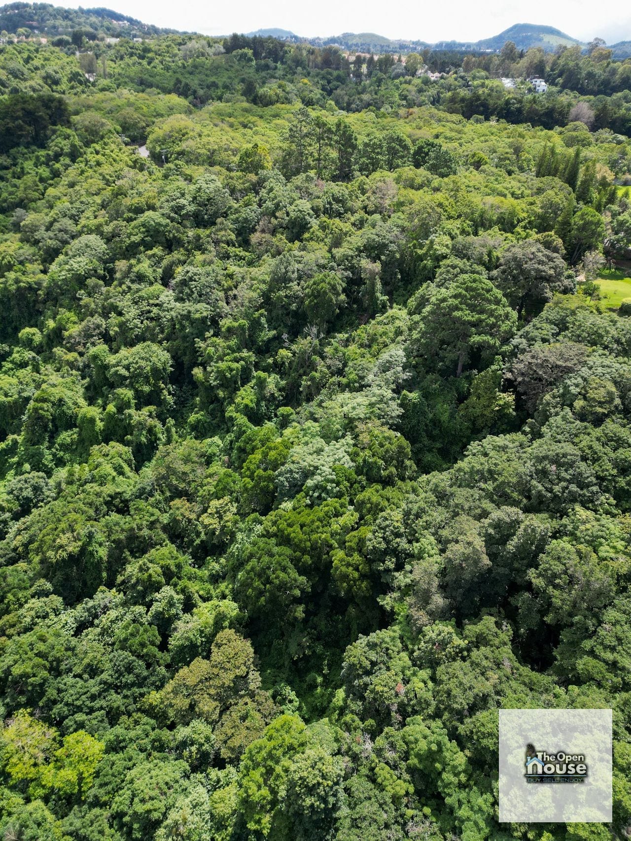Terreno en Venta – Finca Manzanillo, Fraijanes — Terreno en Venta en Carretera a El Salvador, Guatemala, Ciudad — foto 10 de 17