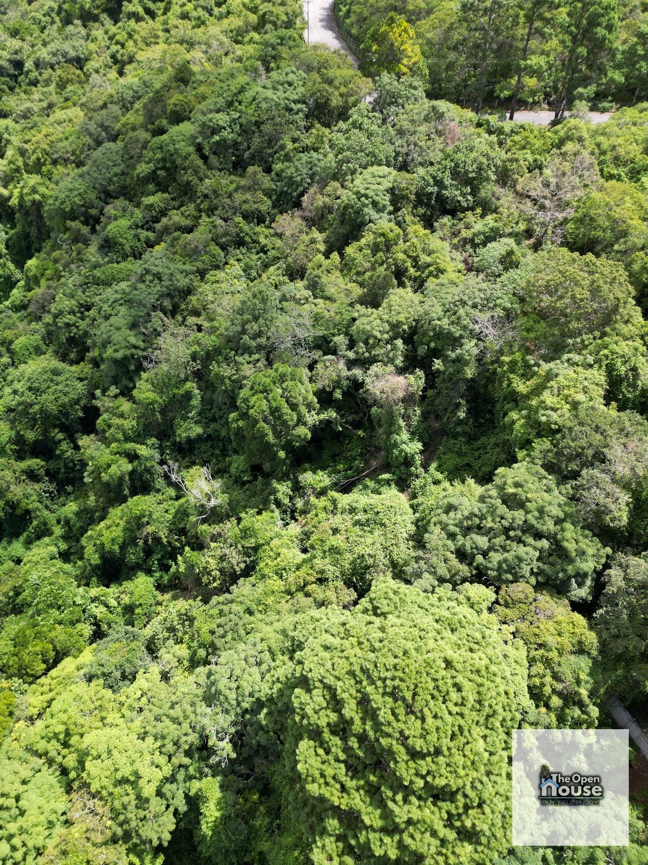 Terreno en Venta – Finca Manzanillo, Fraijanes — Terreno en Venta en Carretera a El Salvador, Guatemala, Ciudad — foto 12 de 17