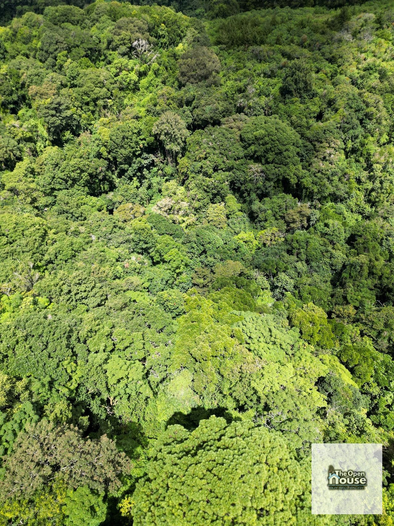 Terreno en Venta – Finca Manzanillo, Fraijanes — Terreno en Venta en Carretera a El Salvador, Guatemala, Ciudad — foto 13 de 17