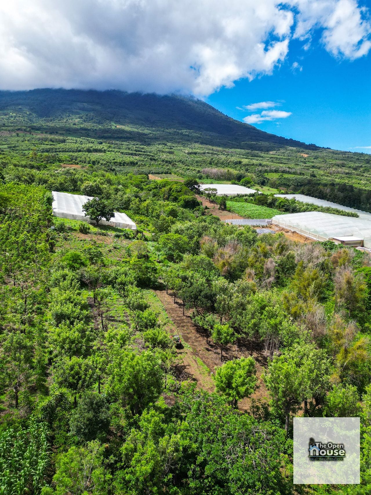 Terrenos Rústicos en Venta – Zona 1, Ciudad Vieja, Sacatepéquez — Terreno en Venta en Ciudad Vieja, Sacatepéquez — foto 12 de 17