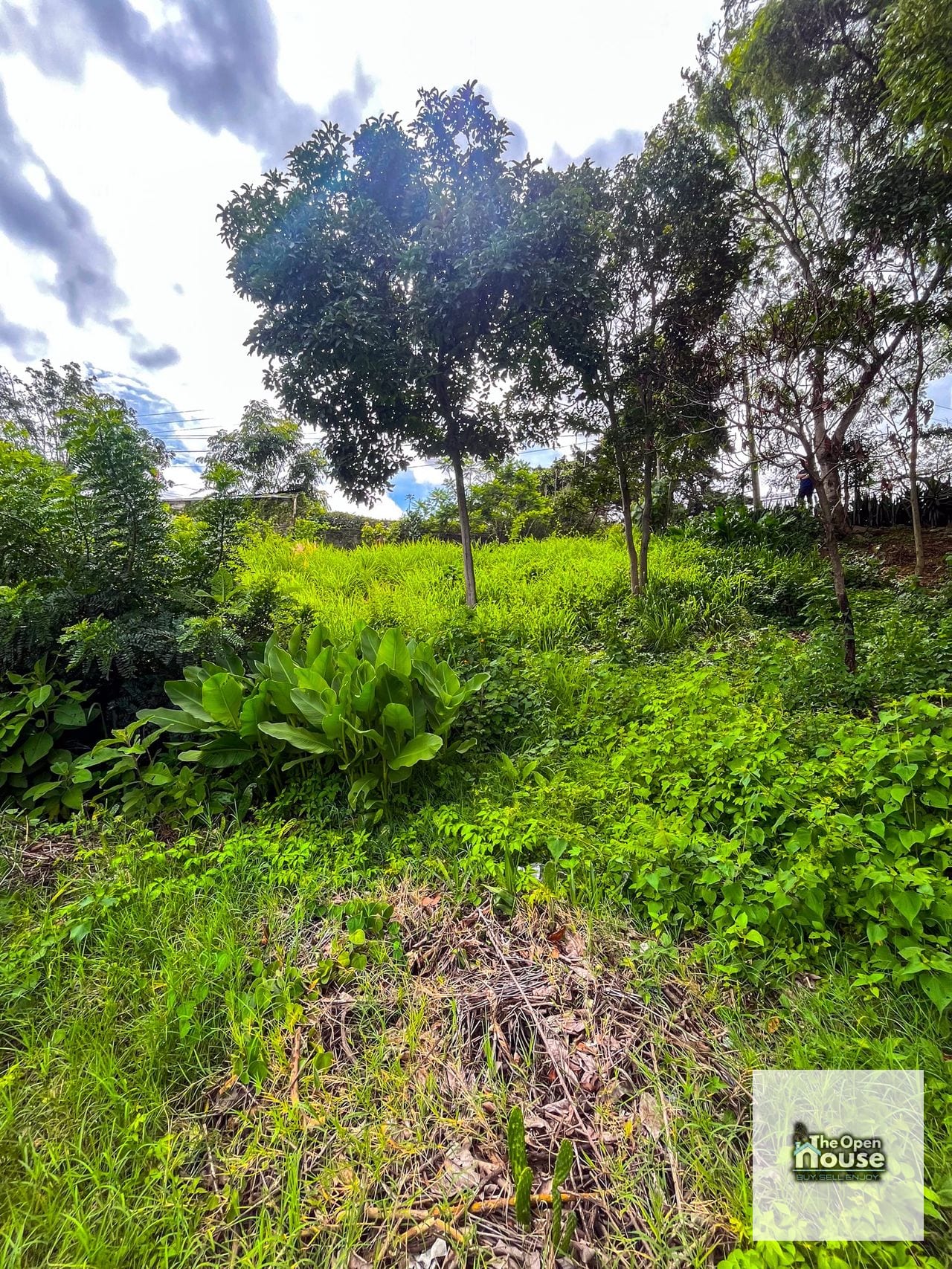 Terreno en Venta en Las Charcas, Zona 11 — Terreno en Venta en Las Charcas, Zona 11, Guatemala, Ciudad — foto 12 de 17