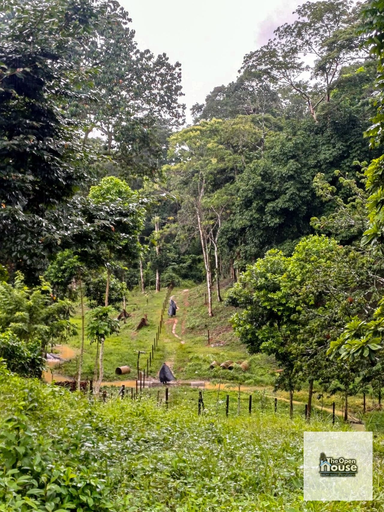 Finca en Venta – Candelaria Yalicar, San Pedro Carchá | Alta Verapaz — Terreno en Venta en San Pedro Carchá, Alta Verapaz — foto 5 de 13