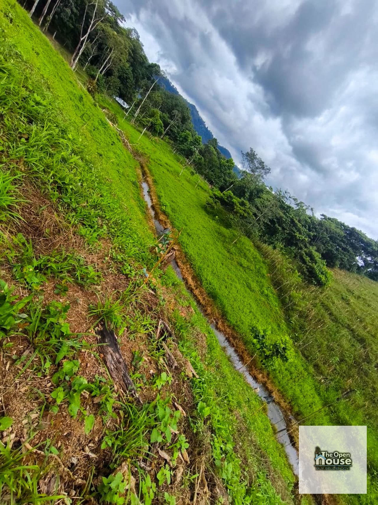 Finca en Venta – Candelaria Yalicar, San Pedro Carchá | Alta Verapaz — Terreno en Venta en San Pedro Carchá, Alta Verapaz — foto 6 de 13