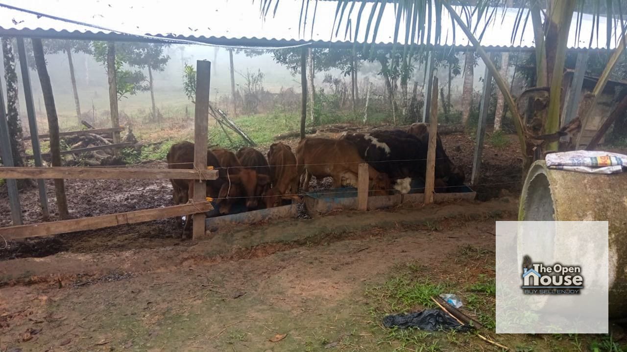 Finca en Venta – Candelaria Yalicar, San Pedro Carchá | Alta Verapaz — Terreno en Venta en San Pedro Carchá, Alta Verapaz — foto 10 de 13